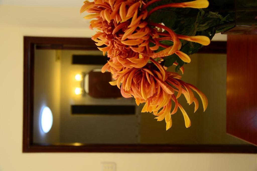Bao Tien Hotel Hô Chi Minh-Ville